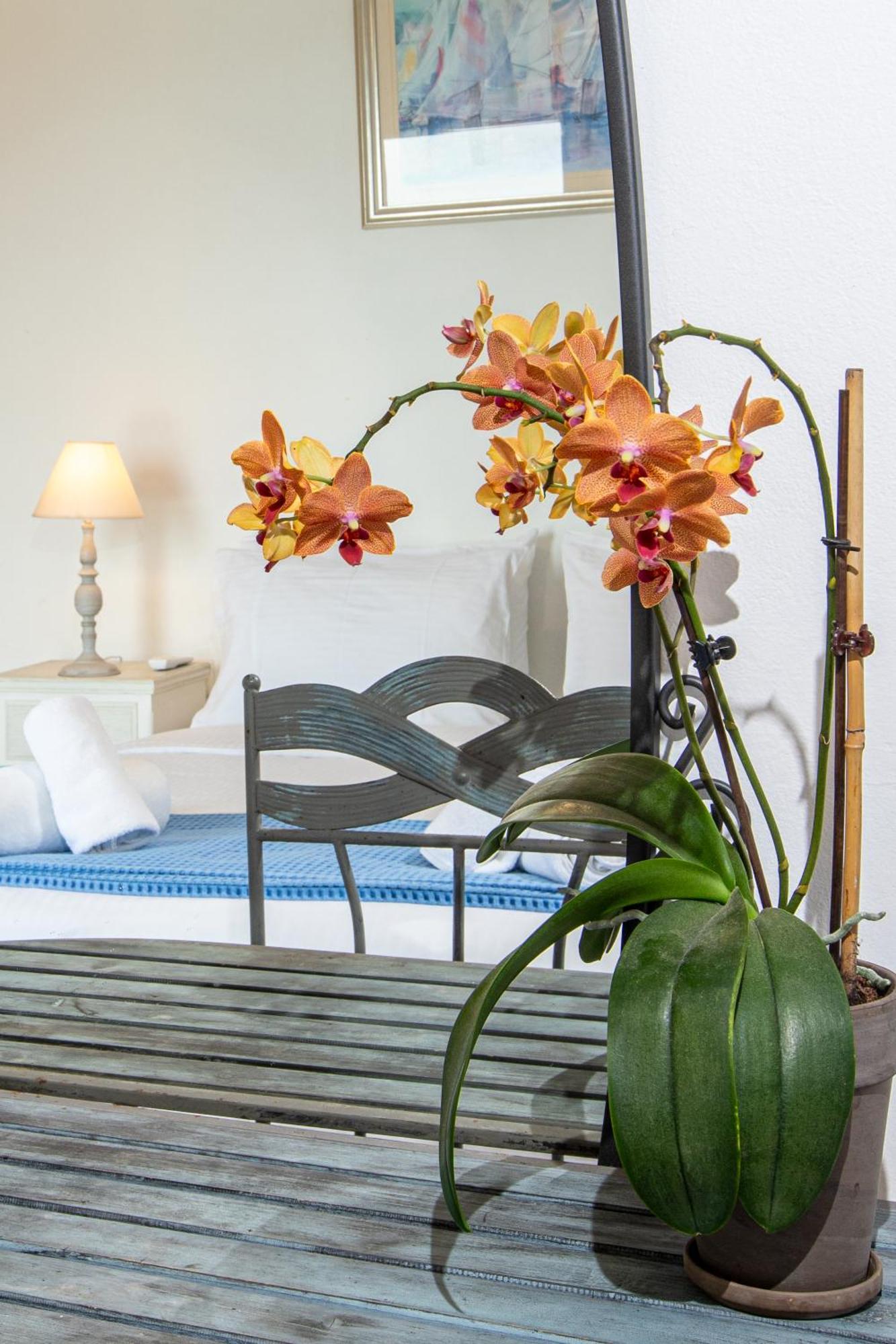 Dimitra Apartment With Private Pool And Sea View -The Ground Floor Of A Two Storey Building Daratsos Luaran gambar
